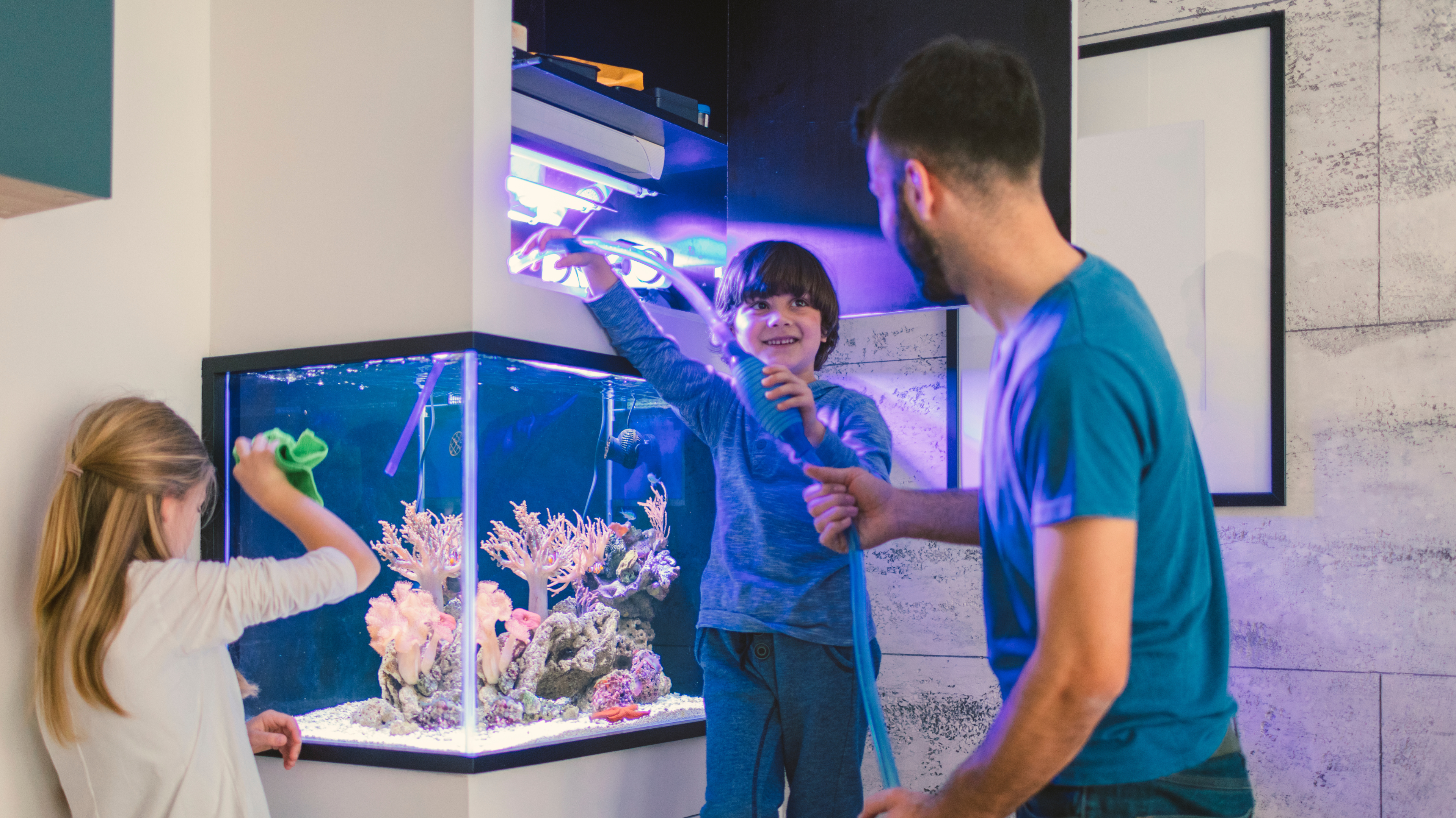 Setting Up Your First Reef Tank