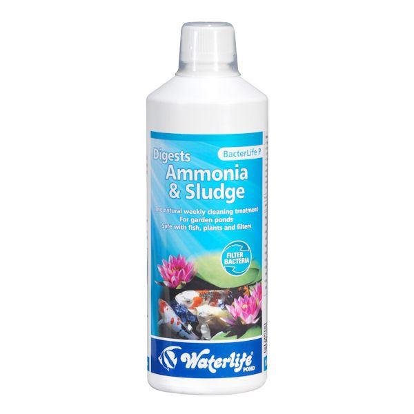 Waterlife Pond Bacterlife P 1L - Aqua Group