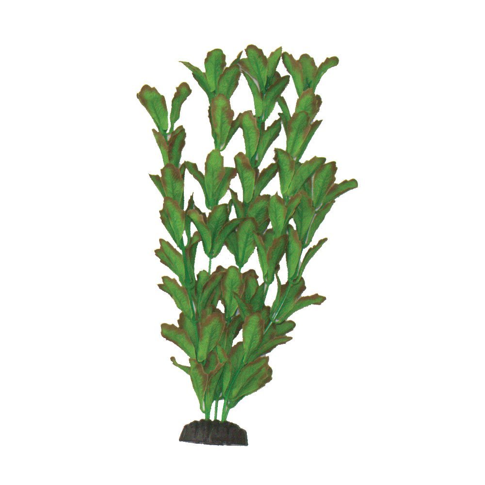 Hugo Kamishi - Rotundifolia Silk Aquascaping Aquarium Plants - Aqua Group
