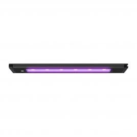 AI Blade Coral Glow LED - 21 Inch