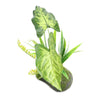 Artificial Philodendron Gigas Plant - 35cm