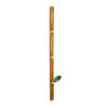 Bamboo Stick Ï - 5cm x1m