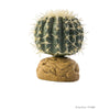 Barrel Cactus Small