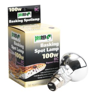Basking Spot Lamp 100w