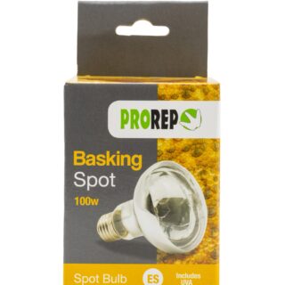 Basking Spot Lamp 100w ES