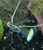 Blue Reef Lobster