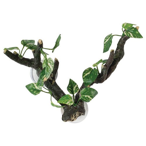 Branch with Flora Sucker Mount - 25cm