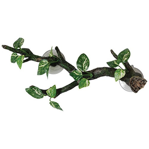 Branch with Flora Sucker Mount - 35cm