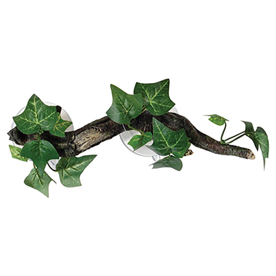 Branch with Flora Sucker Mount - 23cm