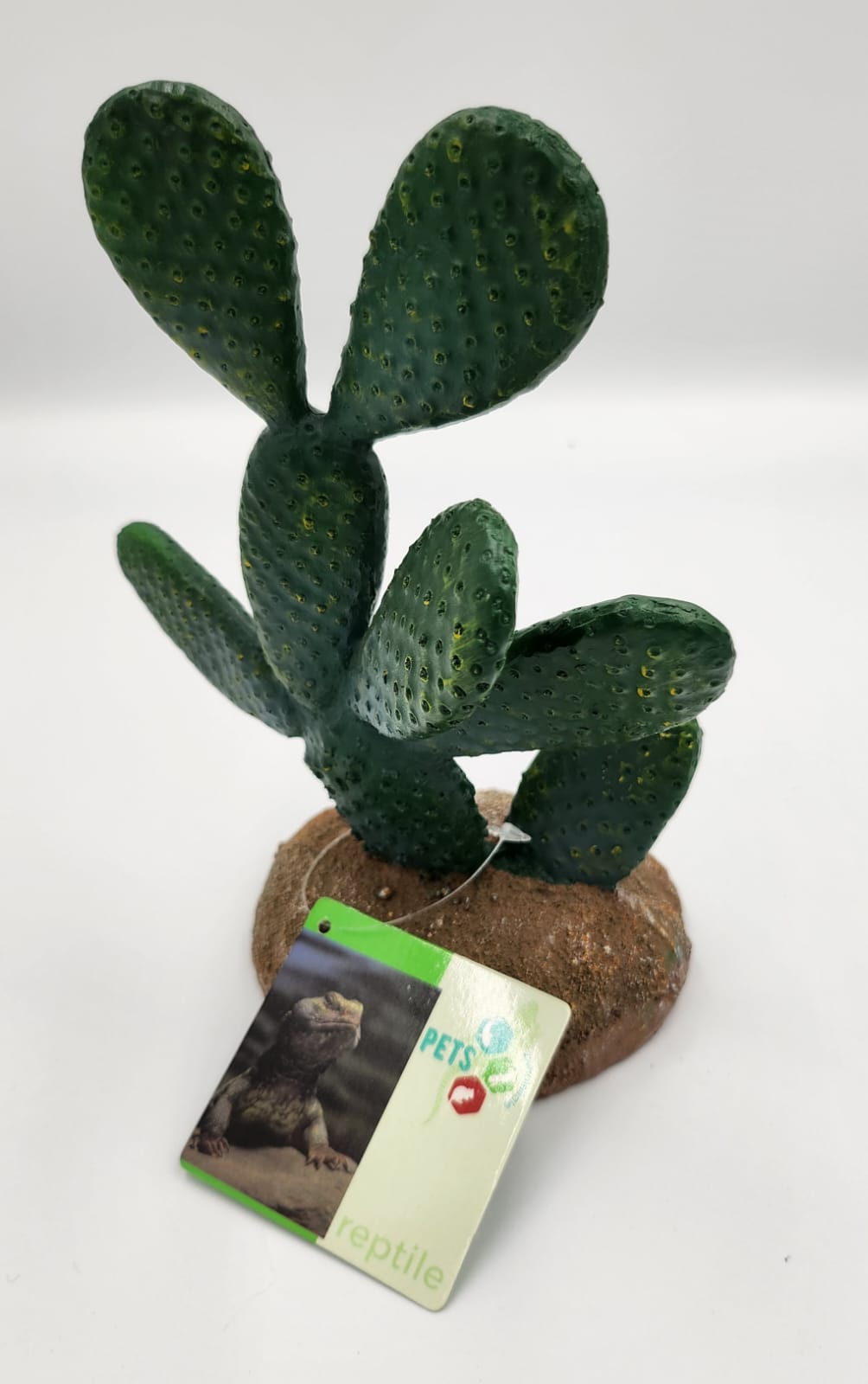 Cactus 9 - 13x9x19.5cm