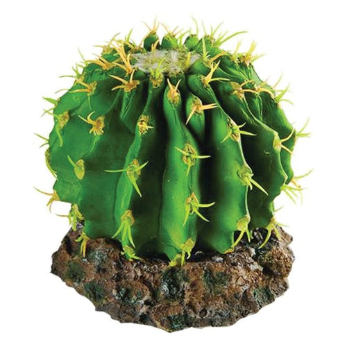 Cactus with Rock Base
