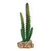 Cactus with Rock Base