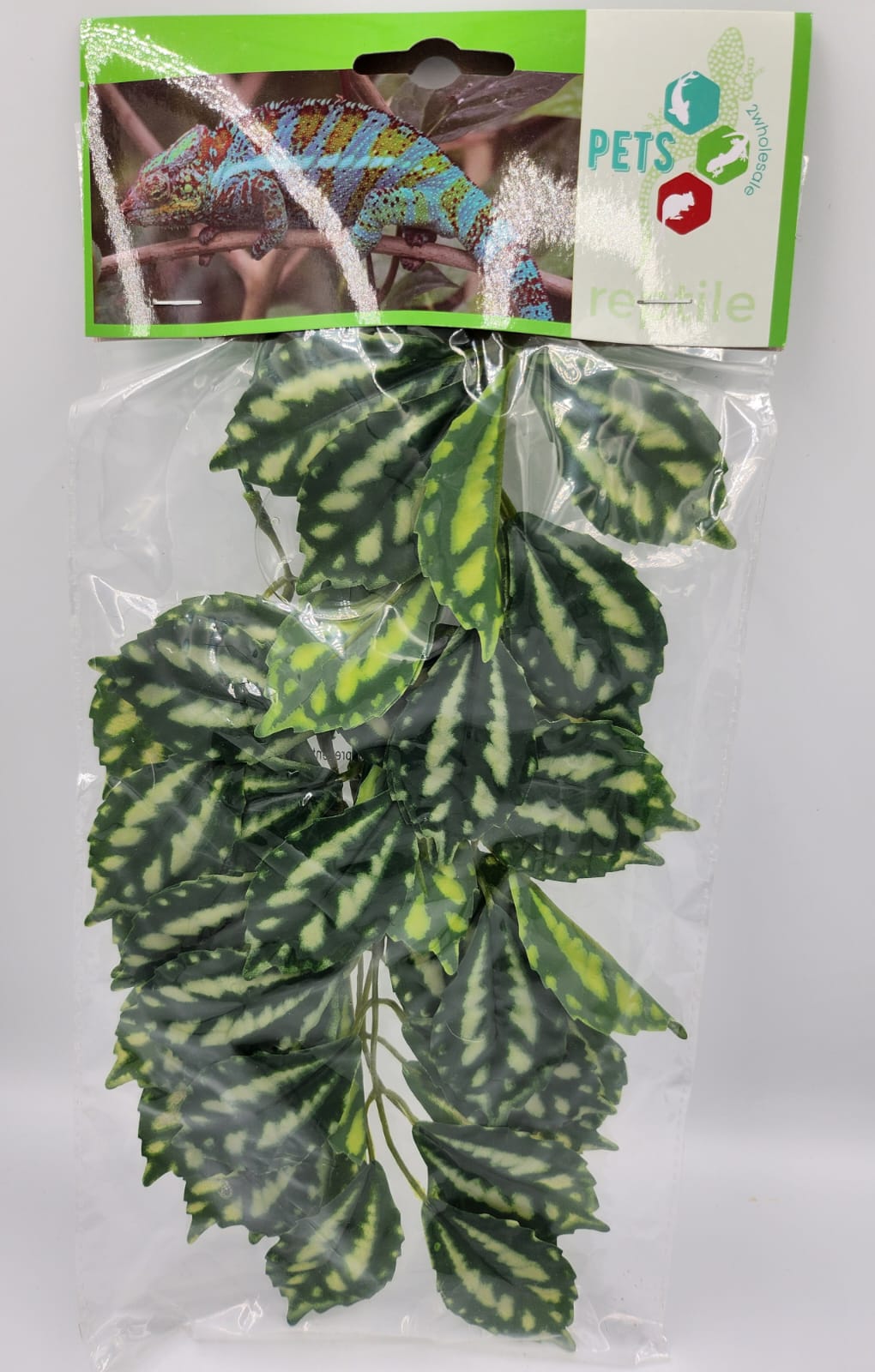 Calathea- Artificial plant