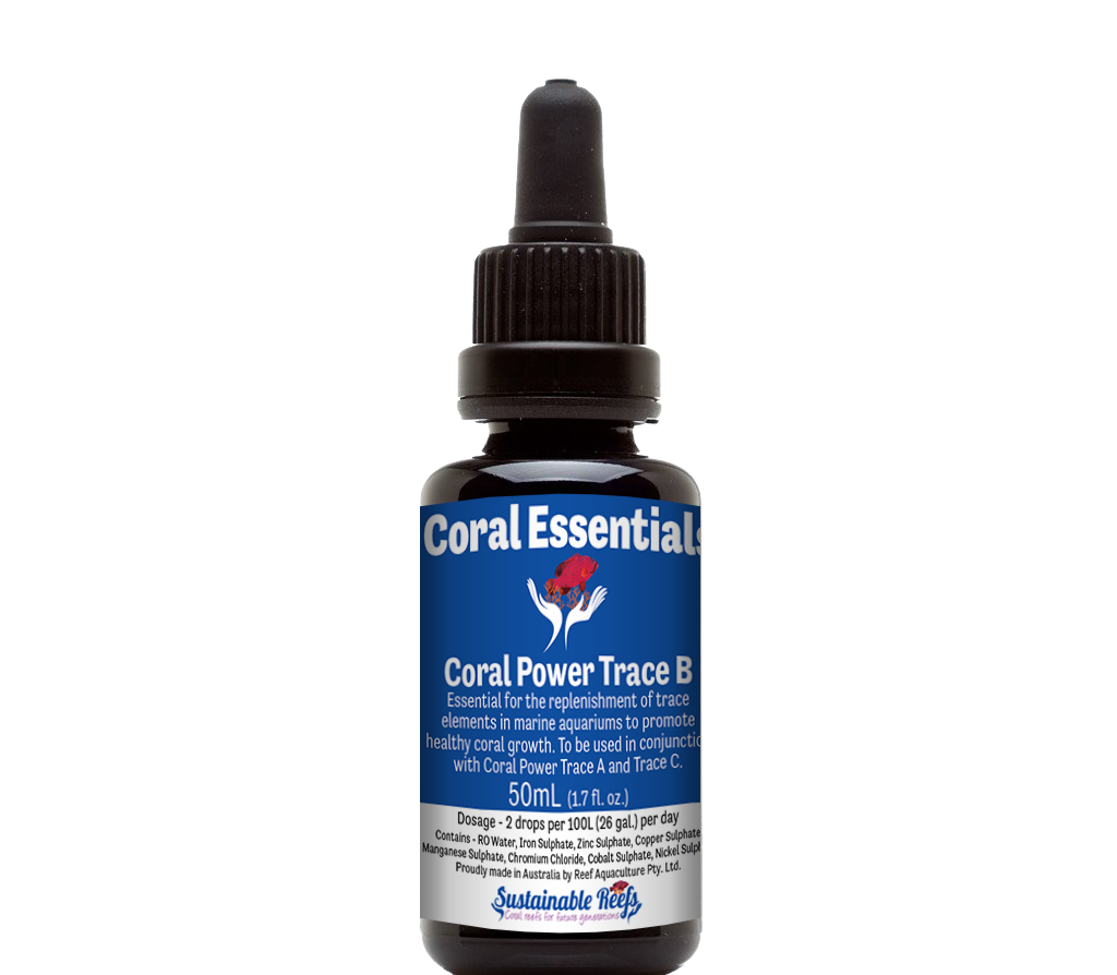 Coral Essentials Coral Power Trace B