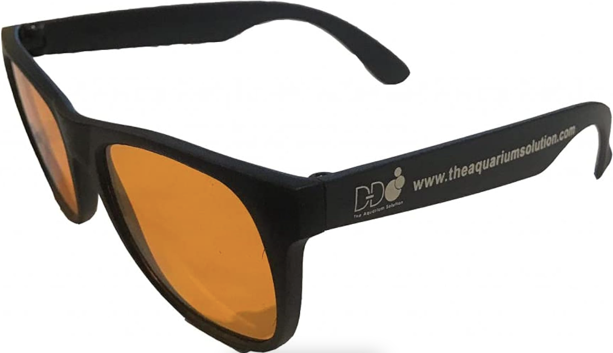 Coral Viewing Sunglasses