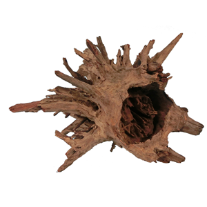 Corbo Catfish Root Large 40-56cm