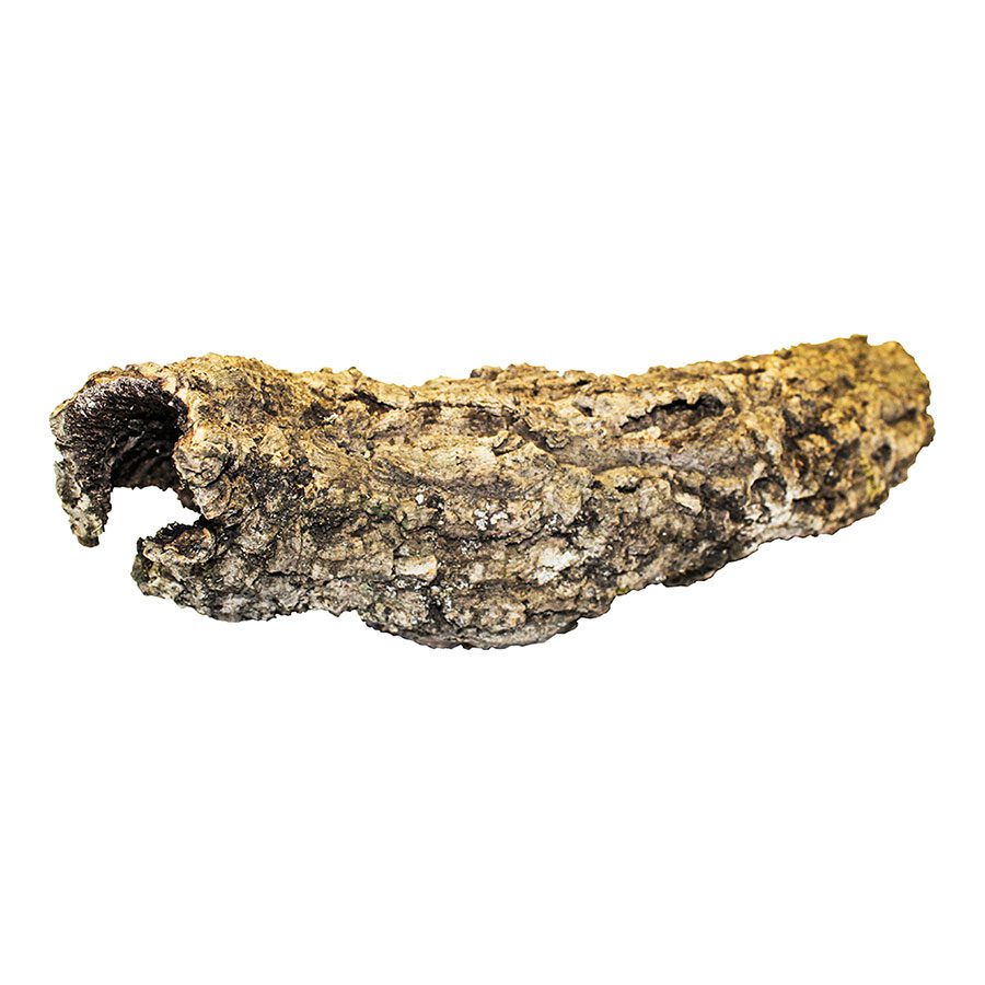 Cork Bark Small Tube - Short