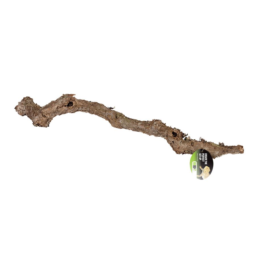 Cork Oak Branch 80-100cm