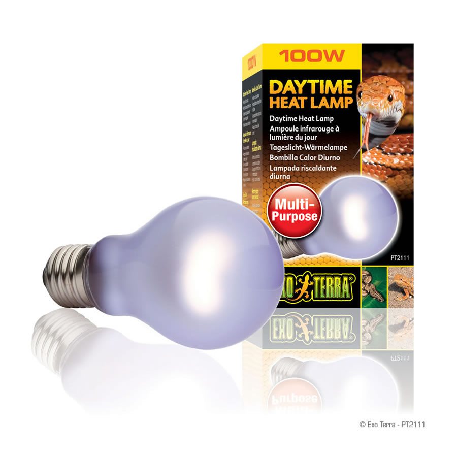 Daytime Heat Lamp 100W