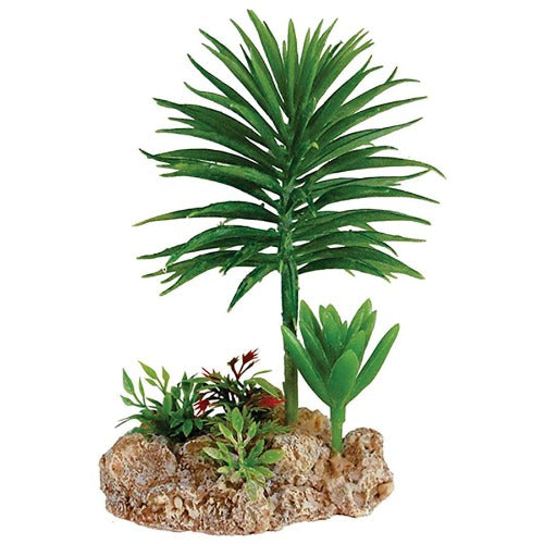 Desert Plant with Rock Base 9x7x16cm