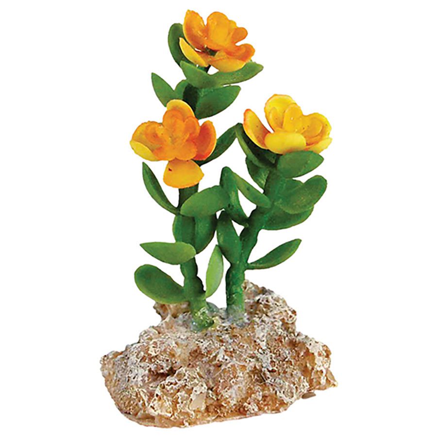 Desert Plant with Rock Base