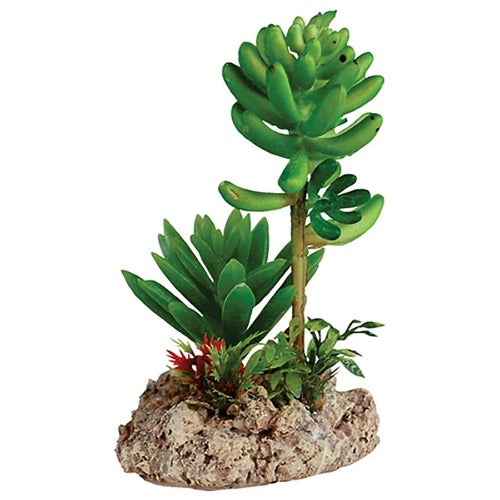 Desert Plant with Rock Base 7.5x6x12cm