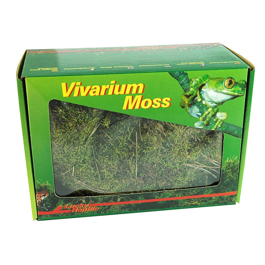 Dry Vivarium Moss 150g