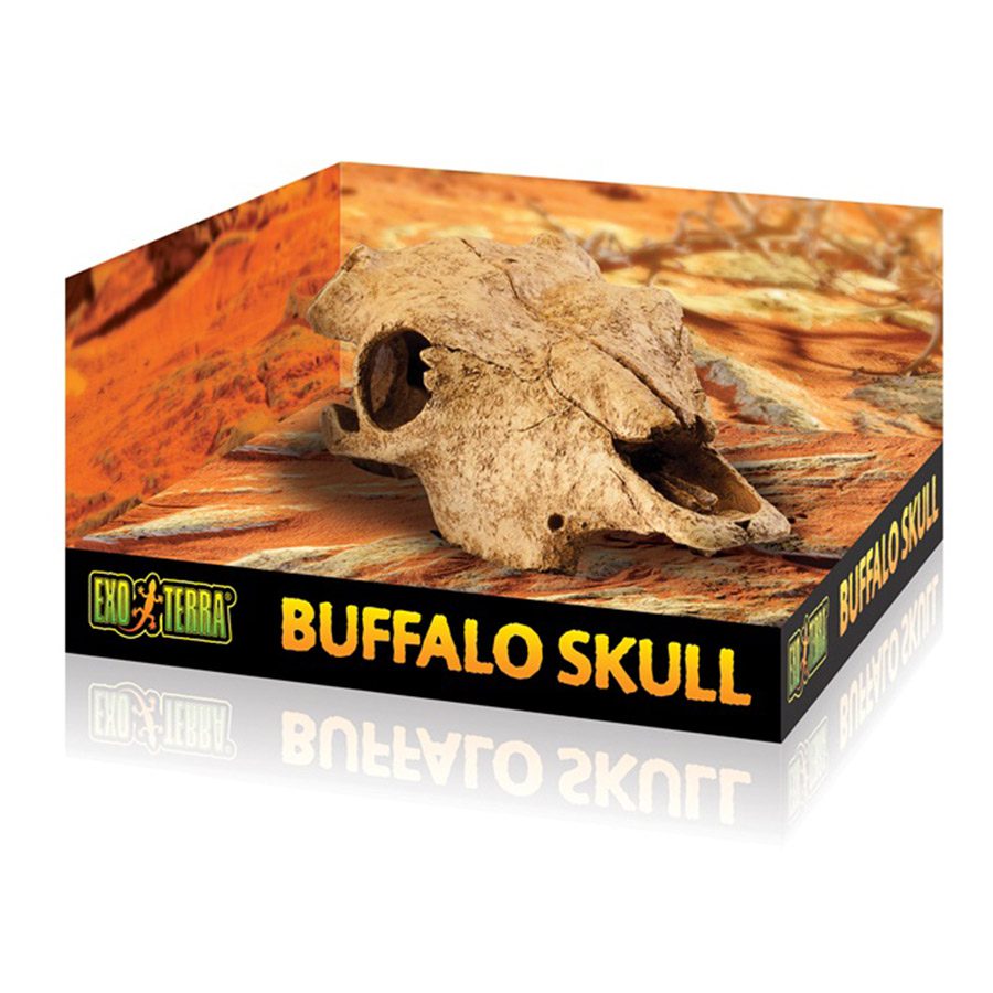 Exo-Terra Buffalo Skull
