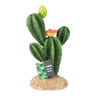 Flowering Cactus - Medium