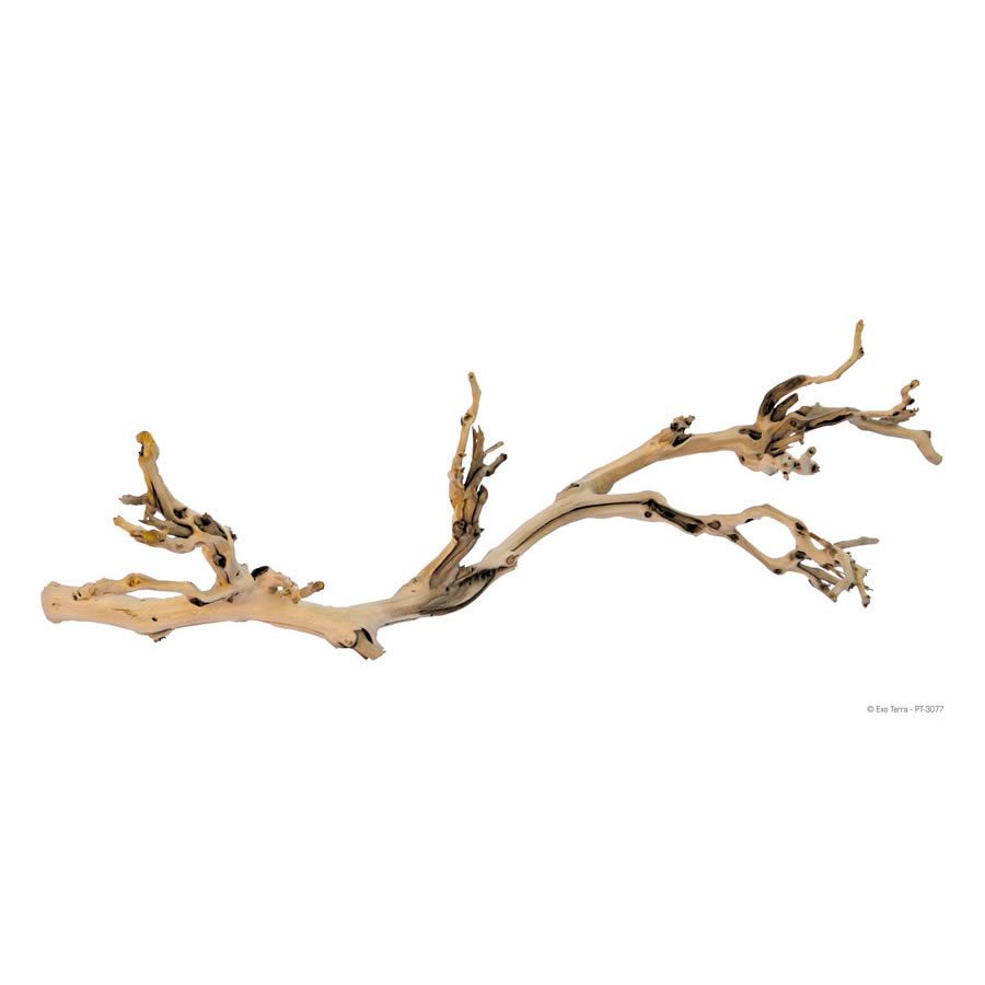 Forest Branch - Large