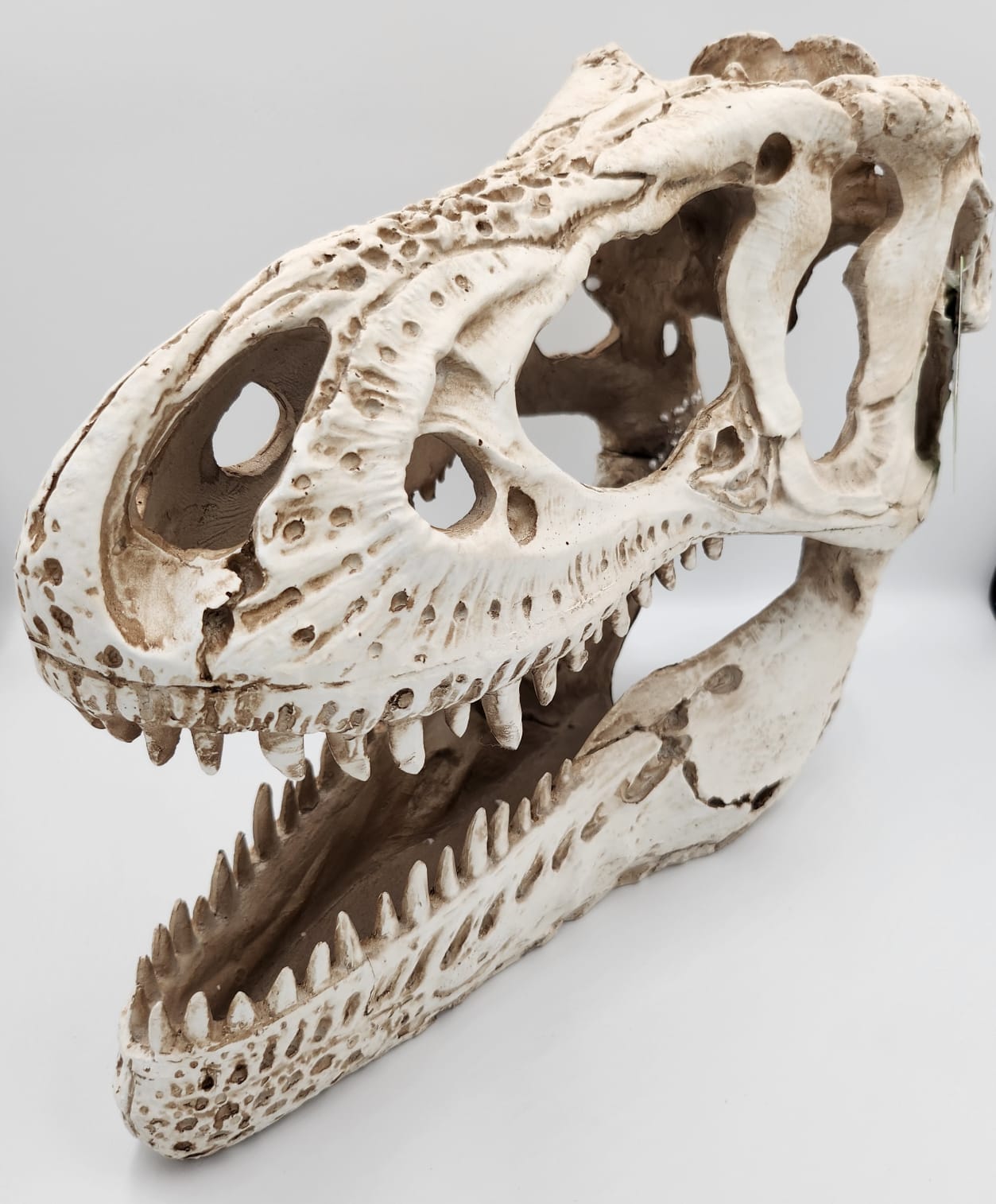 Giant T-Rex- 38.5x18x28cm