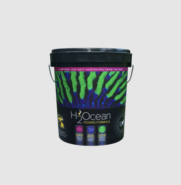 H2Ocean Dosing Formula Reef Salt
