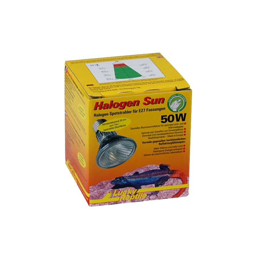 Halogen Sun 50W