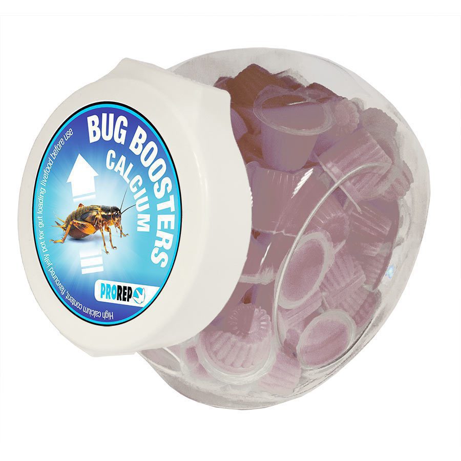 Jelly Pots, Bug Booster, Calcium Jar (Pack 75)
