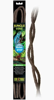 Jungle Vine - Small