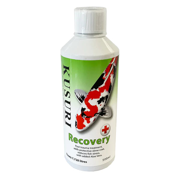 Kusuri Recovery