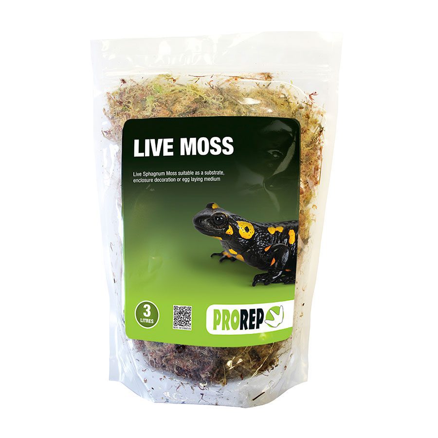 Live Moss, Large Bag (approx 3L)