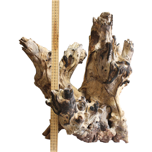 MOJO Jumbo Tall 50-70cm