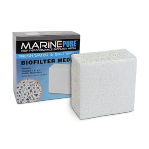 Marine Pure Block 20 x 20 x 10cm