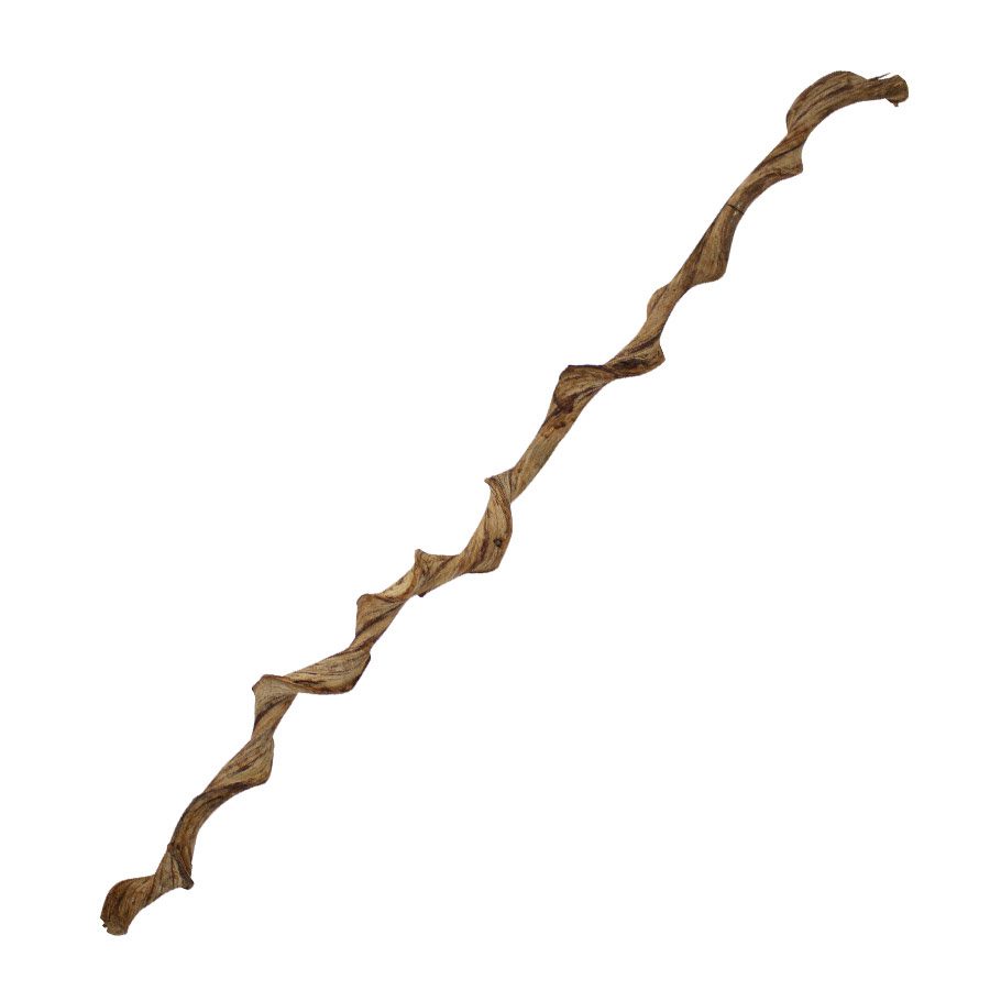 Natural Frankenstein Liana Vine - 120cm