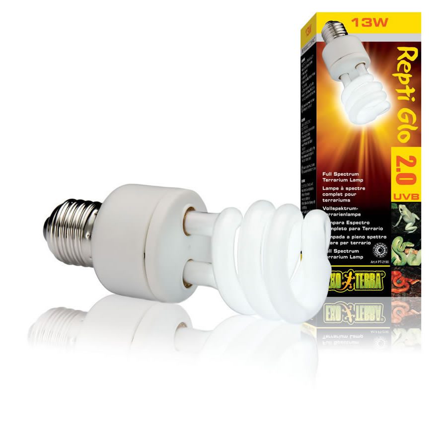 Natural Light Compact Lamp 13W