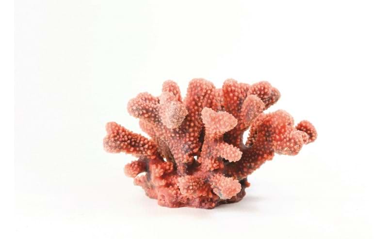 TMC Natureform Coral Cauliflower Red Pocillopora 24 x 21 x 13.5cm
