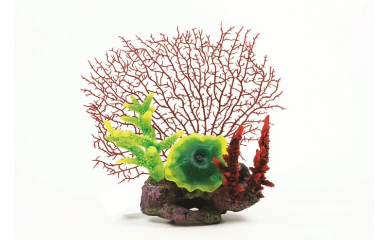 TMC Natureform Coral Coral Garden 24.5 x 20 x 26cm