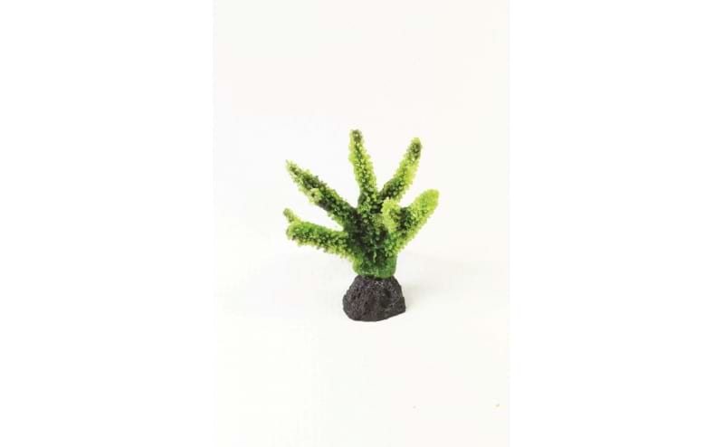 TMC Natureform Coral Staghorn Green Acropora sp. 8.5x5.2x9.5cm