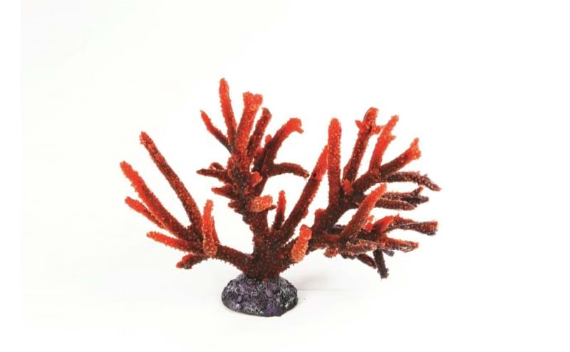 TMC Natureform Coral Staghorn Red Acropora sp. 40 x 19 x 30.5cm