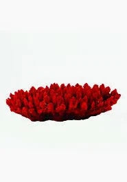 Natureform Coral Staghorn Red/Purple Acropora sp. 21x16x5cm