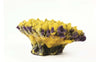 TMC Natureform Coral Staghorn Yellow/Purple Acropora sp. 21x15x9cm
