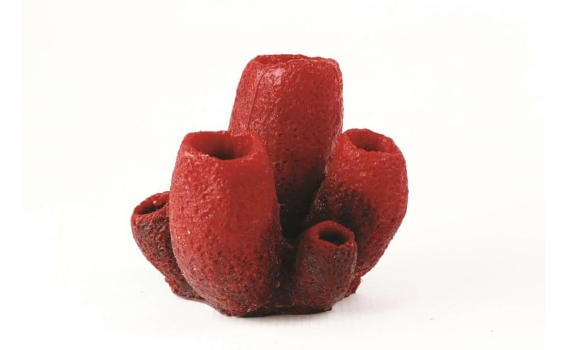 TMC Natureform Coral Vase Sponge Red/Purple Mycale sp. 12.5x12x11cm