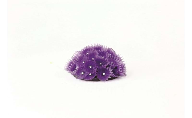 TMC Natureform Coral Col. Polyp Colony Purple Zoanthus sp. 6.5x6.5x3.5cm