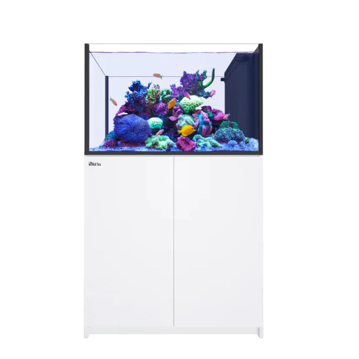 Red Sea REEFER Peninsula 350 G3